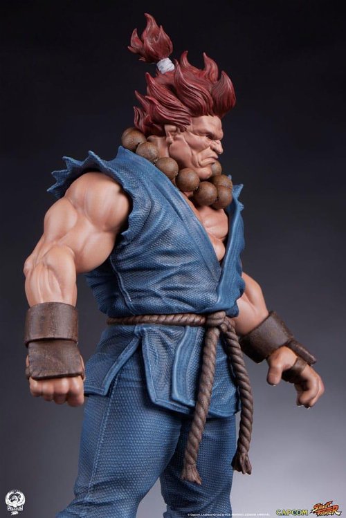 Street Fighter - Akuma & Dhalsim 1/10 Statue
Figure (21cm)