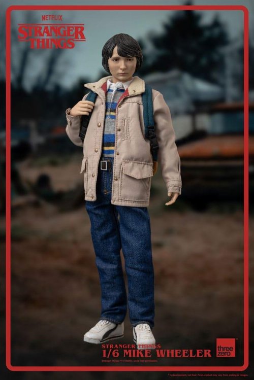 Stranger Things - Mike Wheeler 1/6 Action Figure
(24cm)