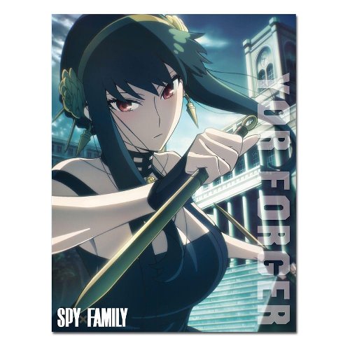 Spy x Family - Yor Forger Blanket
(117x152cm)
