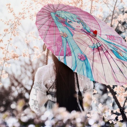 Vocaloid - Hatsune Miku Paper
Parasol