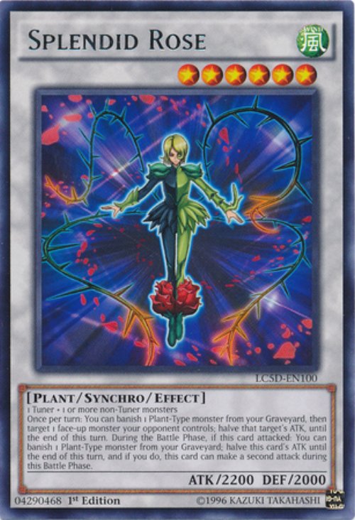 Splendid Rose