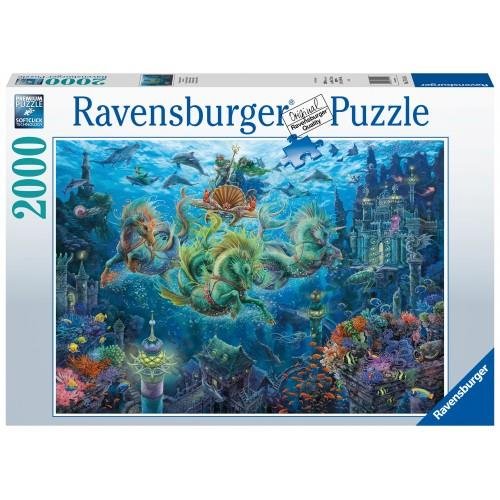 Puzzle 2000 pieces - Underwater
Magic