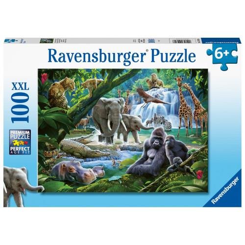 Puzzle 100 XXL pieces - Jungle
Animals