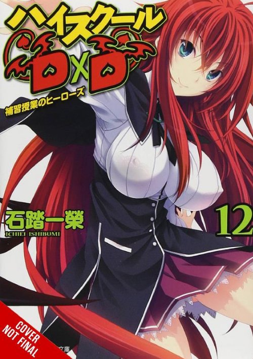 High School DxD Vol. 12 Light
Novel