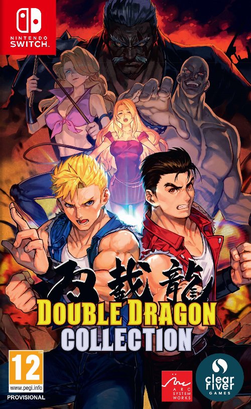 Nintendo Switch Game - Double Dragon
Collection