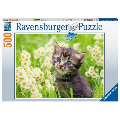 Puzzle 500 pieces - Cat