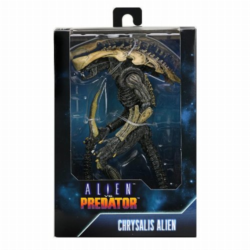 Aliens vs Predator - Alien Chrysalis Action
Figure (23cm)