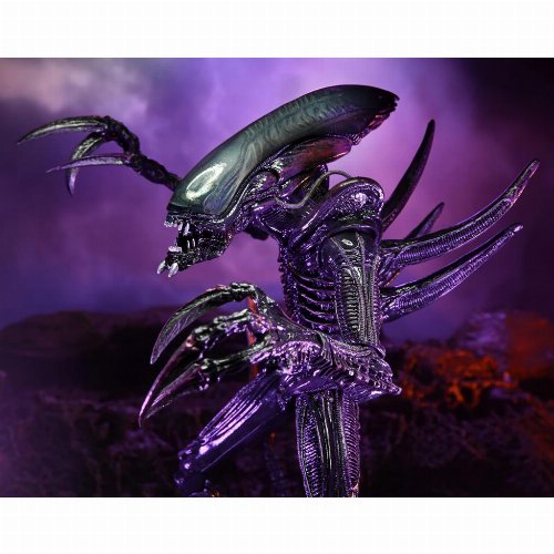 Aliens vs Predator - Razor Claws Alien Action
Figure (23cm)