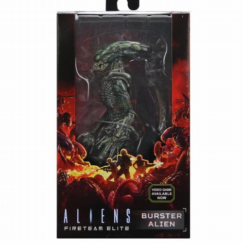 Aliens: Fireteam Elite - Burster Alien Ultimate
Action Figure (18cm)