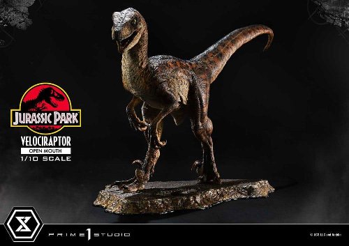 Jurassic Park: Prime Collectibles - Velociraptor
Open Mouth 1/10 Statue Figure (19cm)
