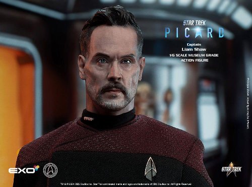 Star Trek: Picard - Captain Liam Shaw 1/6 Φιγούρα
Δράσης (30cm)
