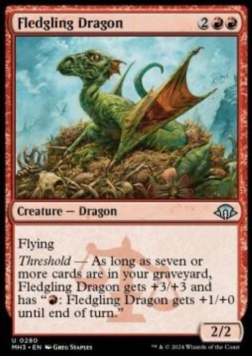 Fledgling Dragon