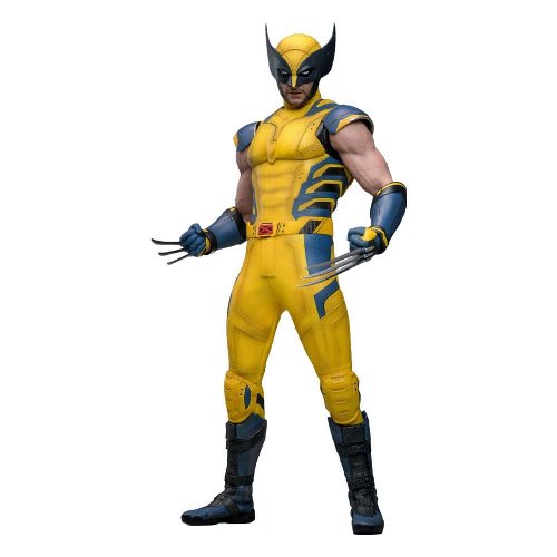 Marvel: Hot Toys Masterpiece - Wolverine 1/6 Φιγούρα
Δράσης (31cm)