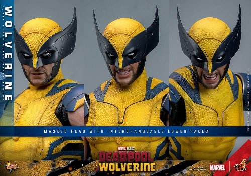 Marvel: Hot Toys Masterpiece - Wolverine 1/6
Action Figure (31cm)