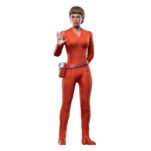 Star Trek: Enterprise - Commander T'Pol 1/6
Action Figure (28cm)