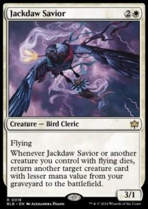 Jackdaw Savior