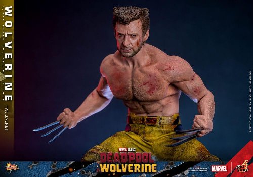 Deadpool & Wolverine: Hot Toys Masterpiece -
Wolverine (TVA Jacket Version) 1/6 Action Figure
(31cm)