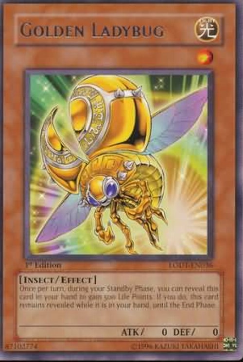 Golden Ladybug
