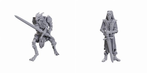 D&D Nolzur's Marvelous Miniatures - 2x
Skeleton Knights