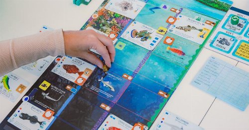 Board Game Finspan