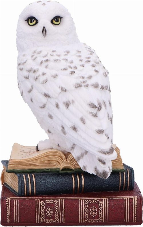 Library of Wisdom - White Owl Statue
(17cm)
