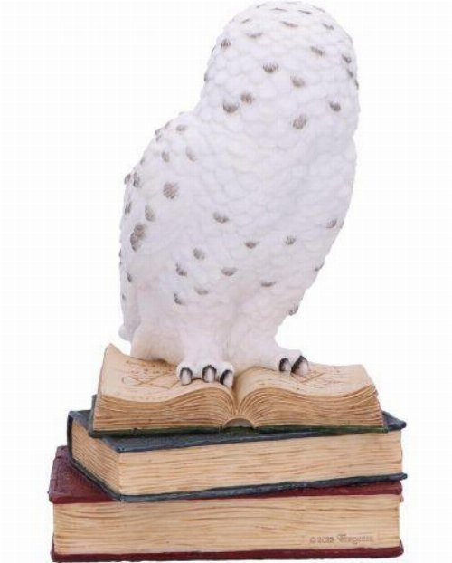 Library of Wisdom - White Owl Statue
(17cm)