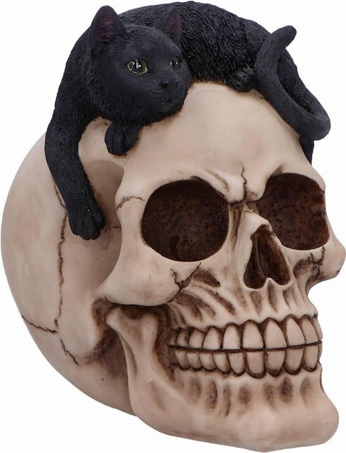 Forever Friend - Black Cat Skull Head Αγαλματίδιο
(14cm)