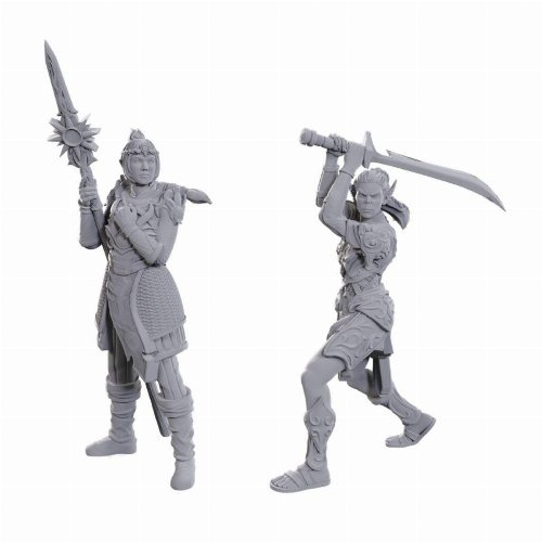 D&D Nolzur's Marvelous Miniatures: Special Edition
Baldur's Gate 3 - Lae'zel & Shadowheart
