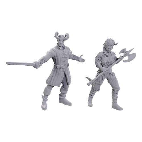 D&D Nolzur's Marvelous Miniatures: Special Edition
Baldur's Gate 3 - Wyll & Karlach