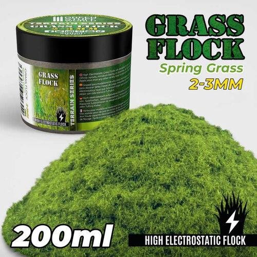 Green Stuff World - Spring Grass 2-3mm Grass
Flock (200ml)