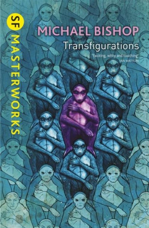 Transfigurations Novel