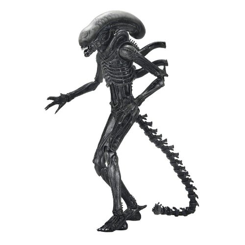 Alien: Romulus - Ultimate Xenomorph XX121 Action
Figure (18cm)