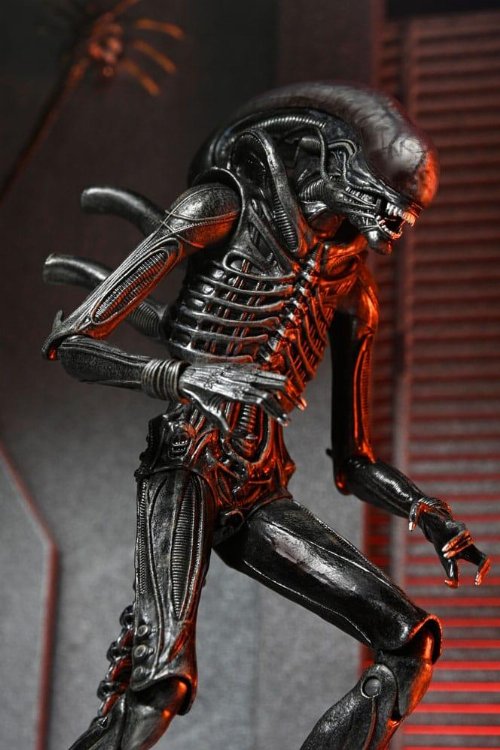 Alien: Romulus - Ultimate Xenomorph XX121 Action
Figure (18cm)