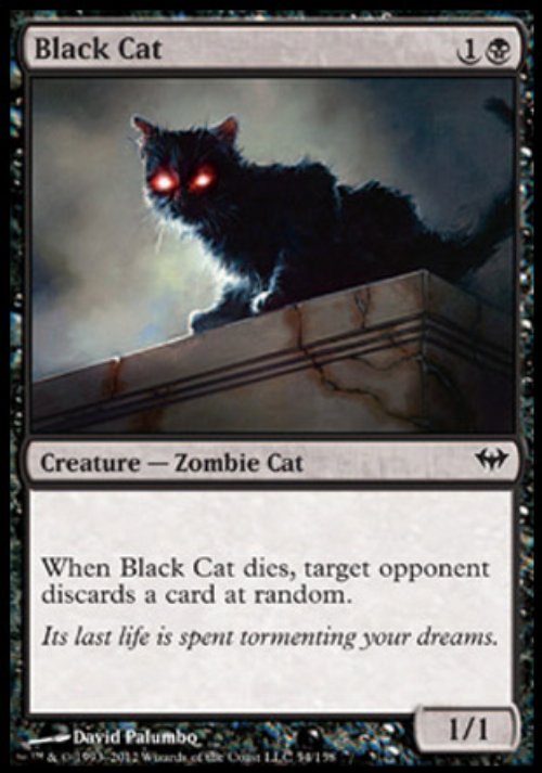 Black Cat