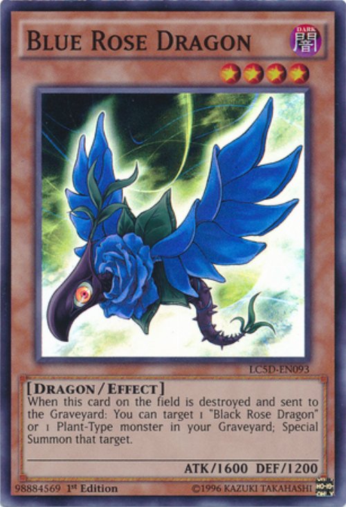 Blue Rose Dragon