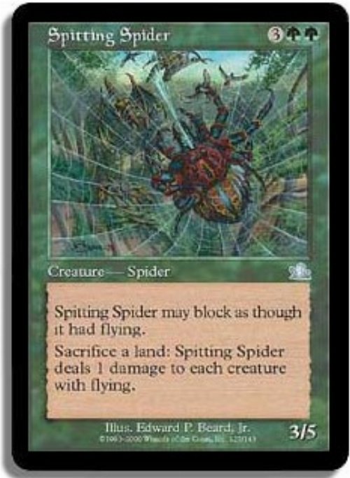 Spitting Spider